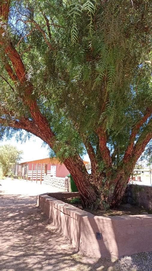 Lodge Don Felix San Pedro De Atacama Zewnętrze zdjęcie